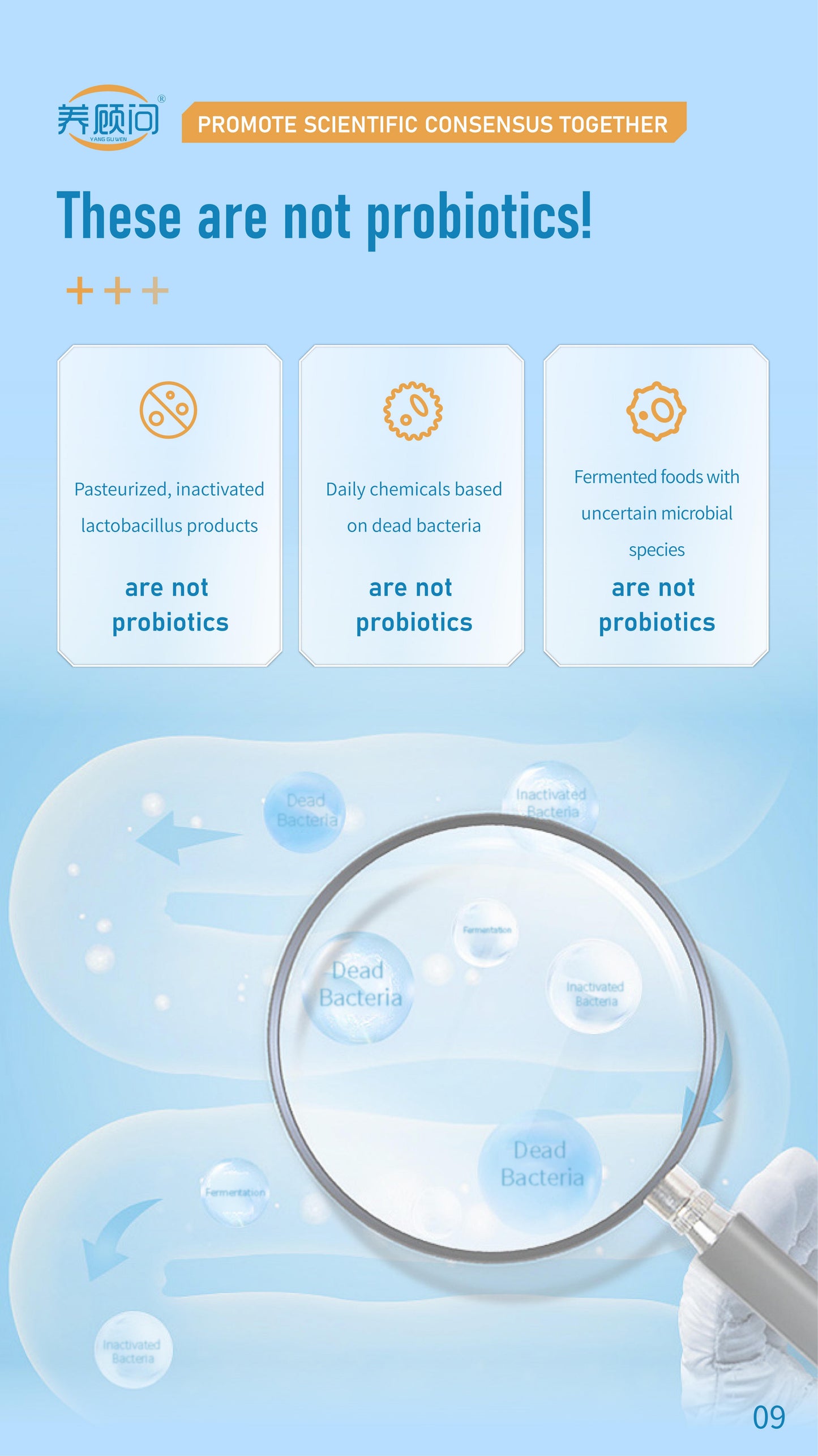 Probiotics Solid Beverage Associated R&D with IFF