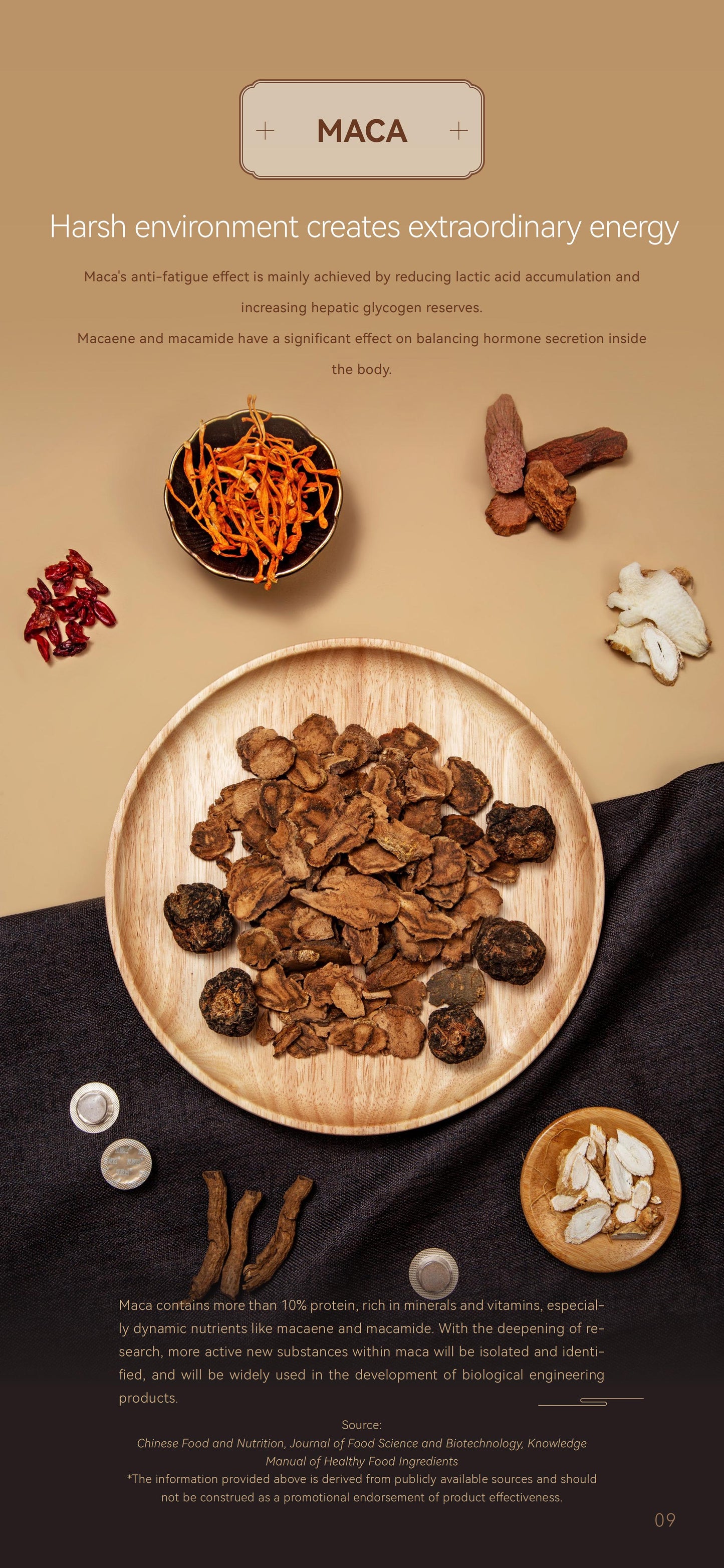 Oyster Peptide Vitality Tablet