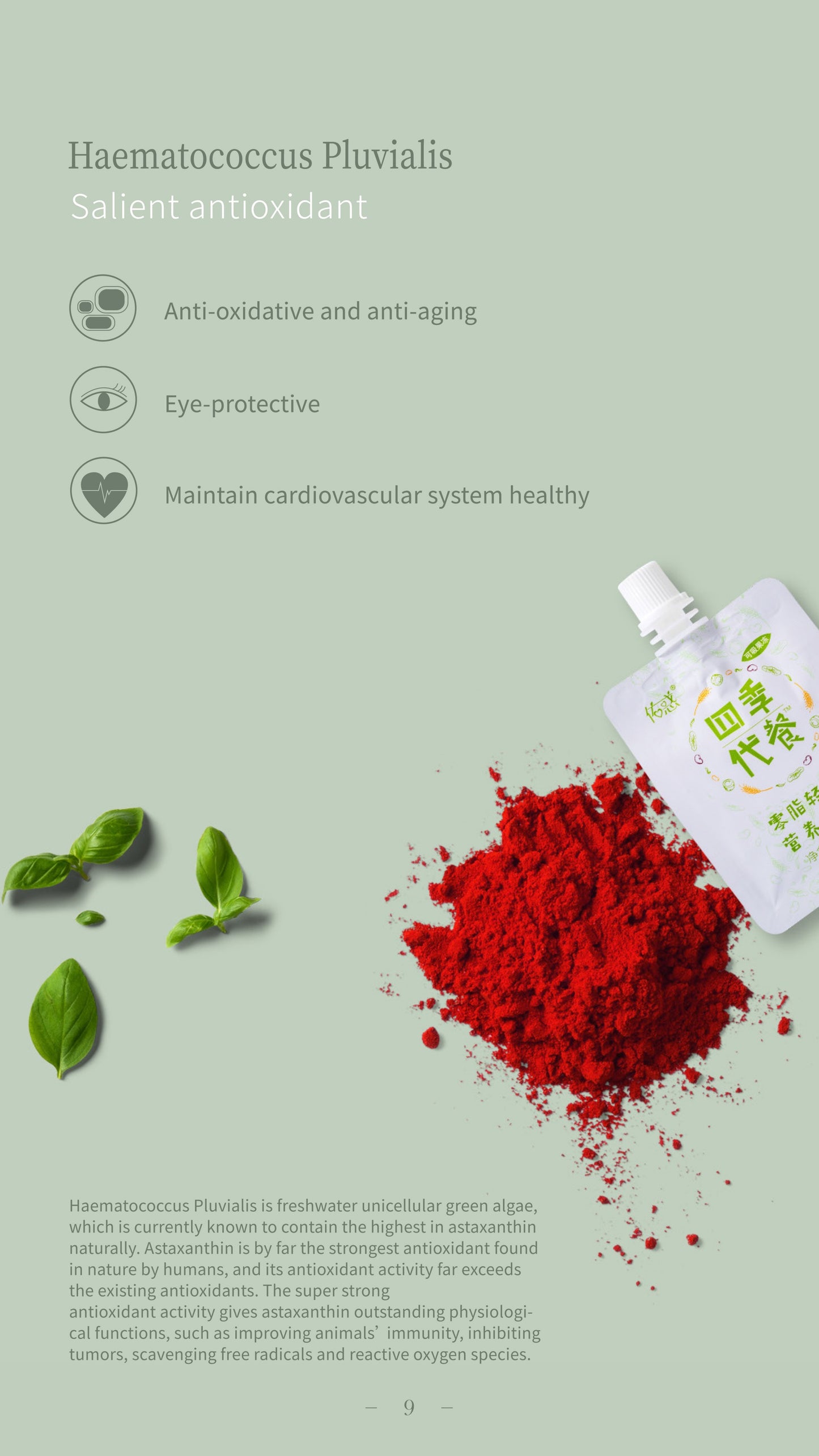 Siji Meal Replacement Jelly