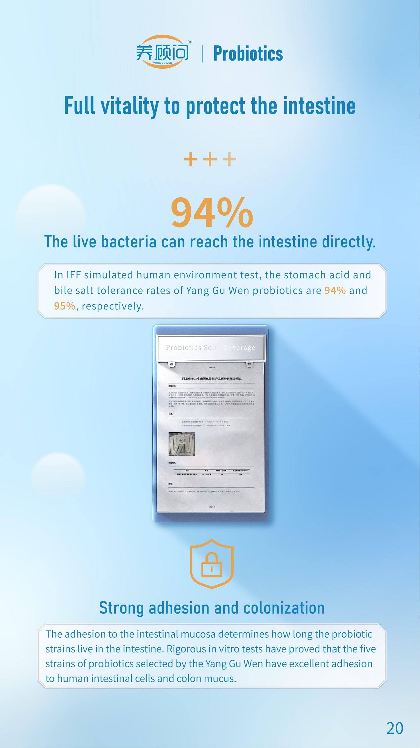 Probiotics Solid Beverage Associated R&D with IFF