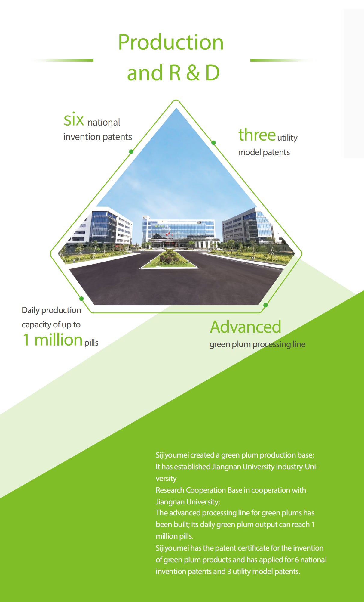 Suibianguo Candied Green Plum Global Version