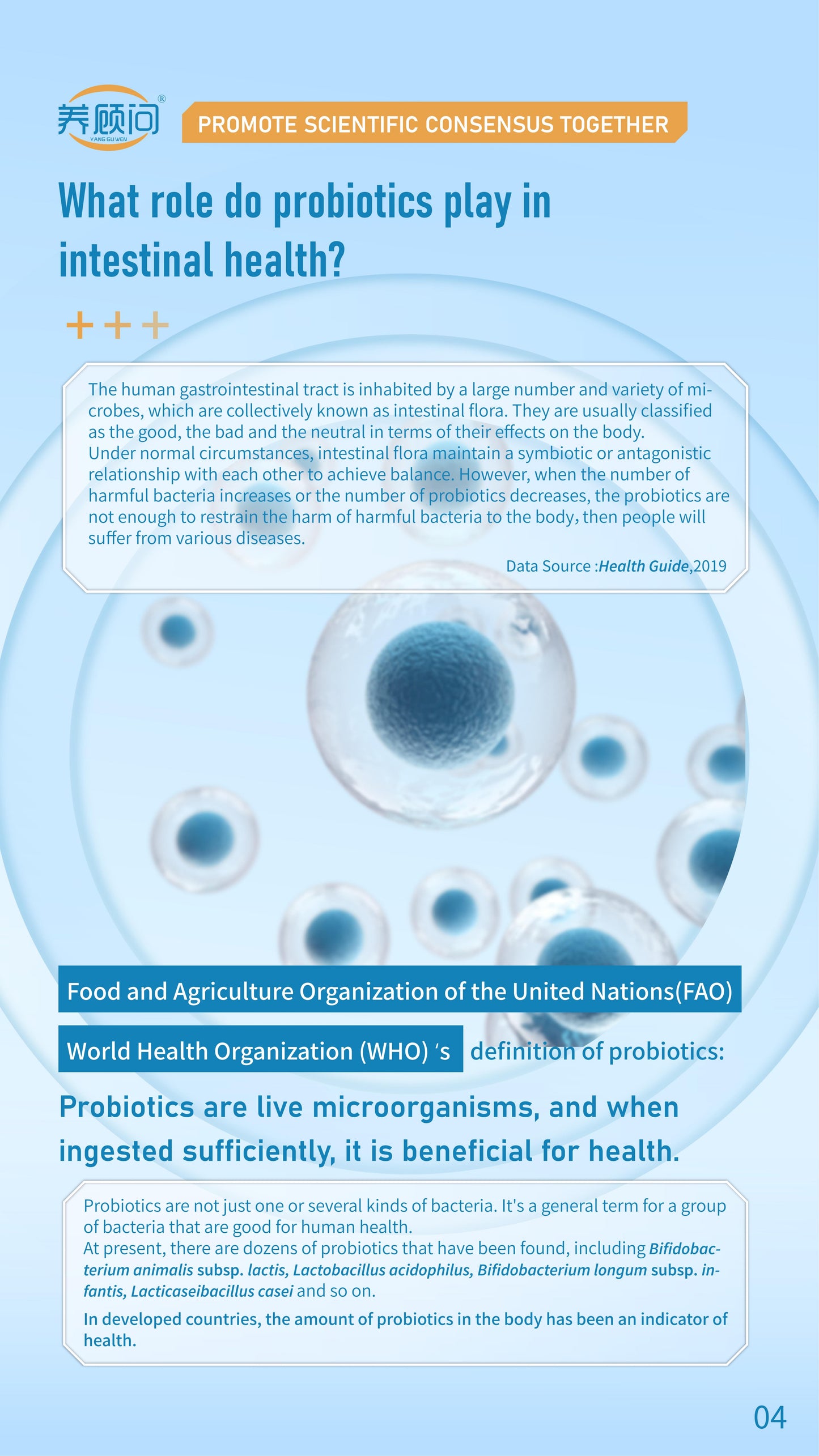 Probiotics Solid Beverage Associated R&D with IFF