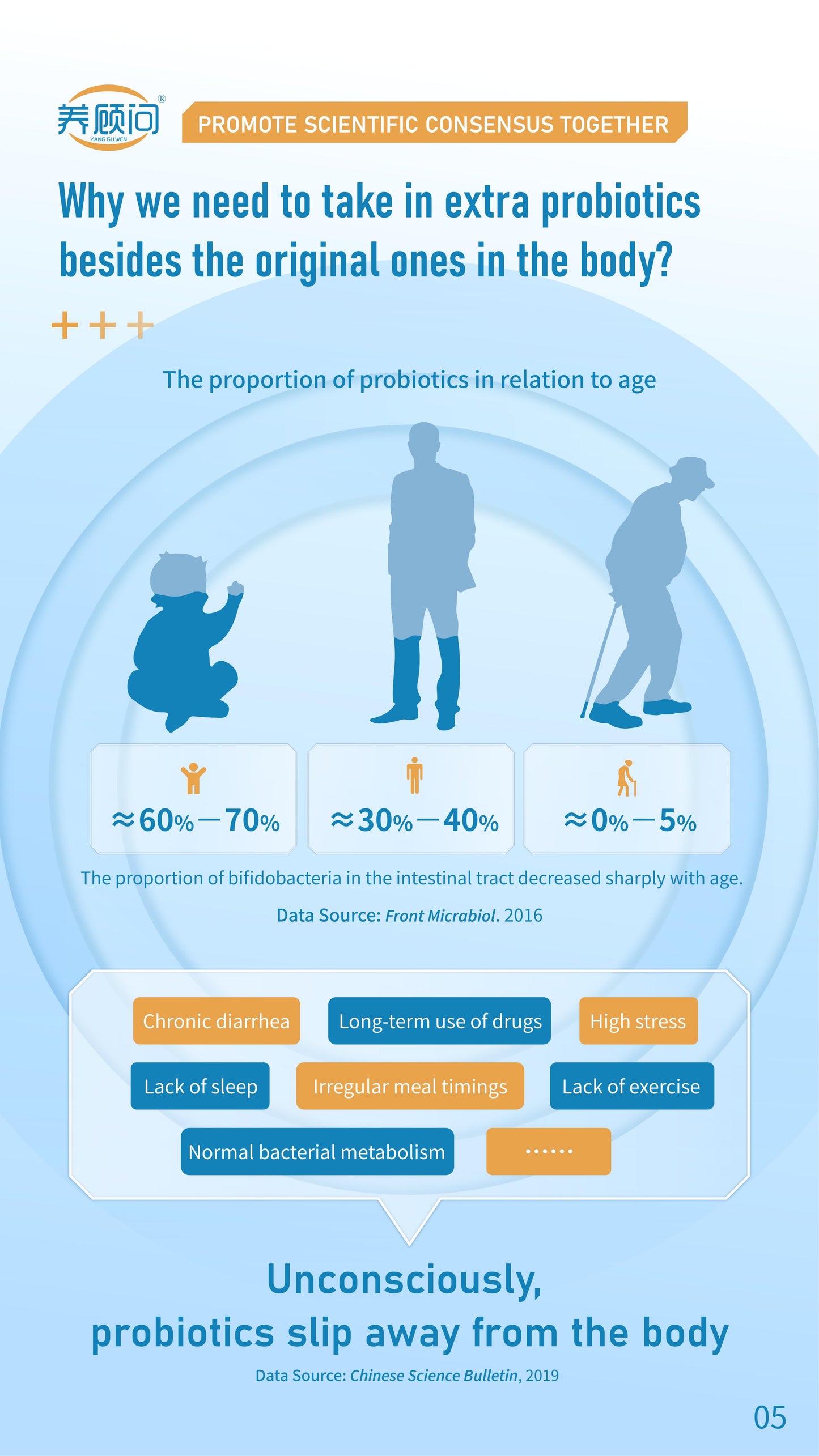 Probiotics Solid Beverage Associated R&D with IFF
