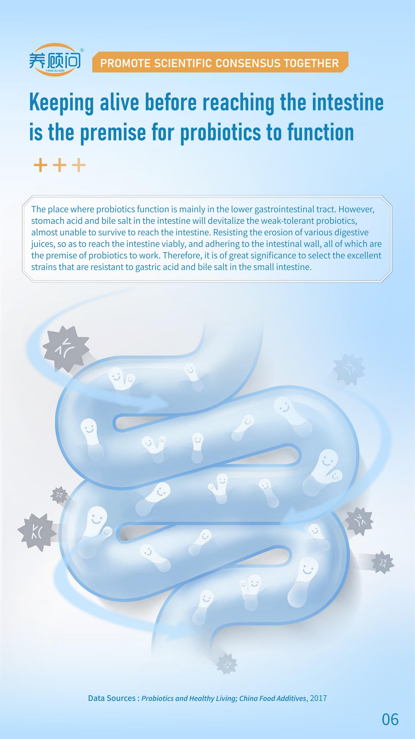 Probiotics Solid Beverage Associated R&D with IFF