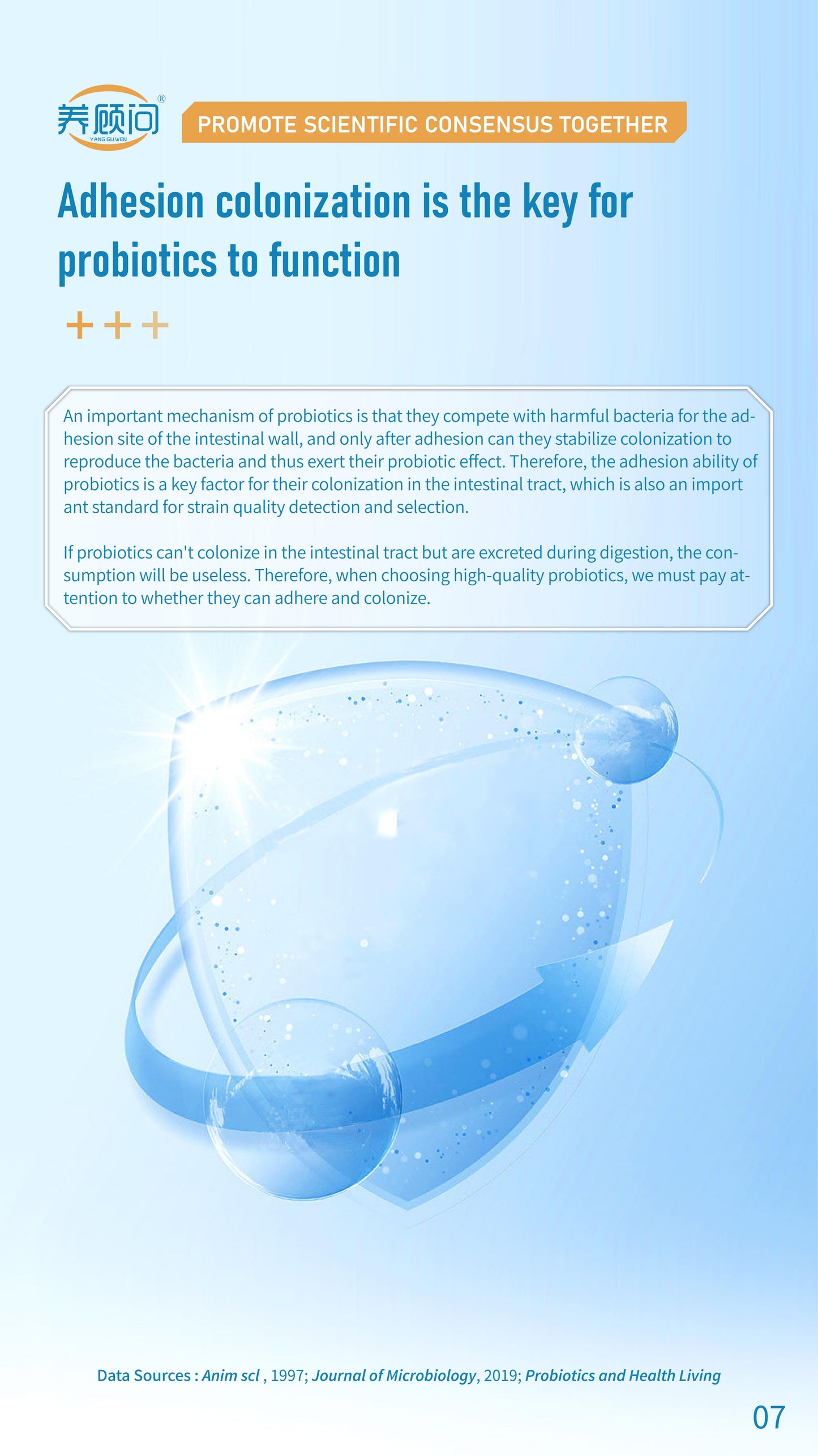 Probiotics Solid Beverage Associated R&D with IFF