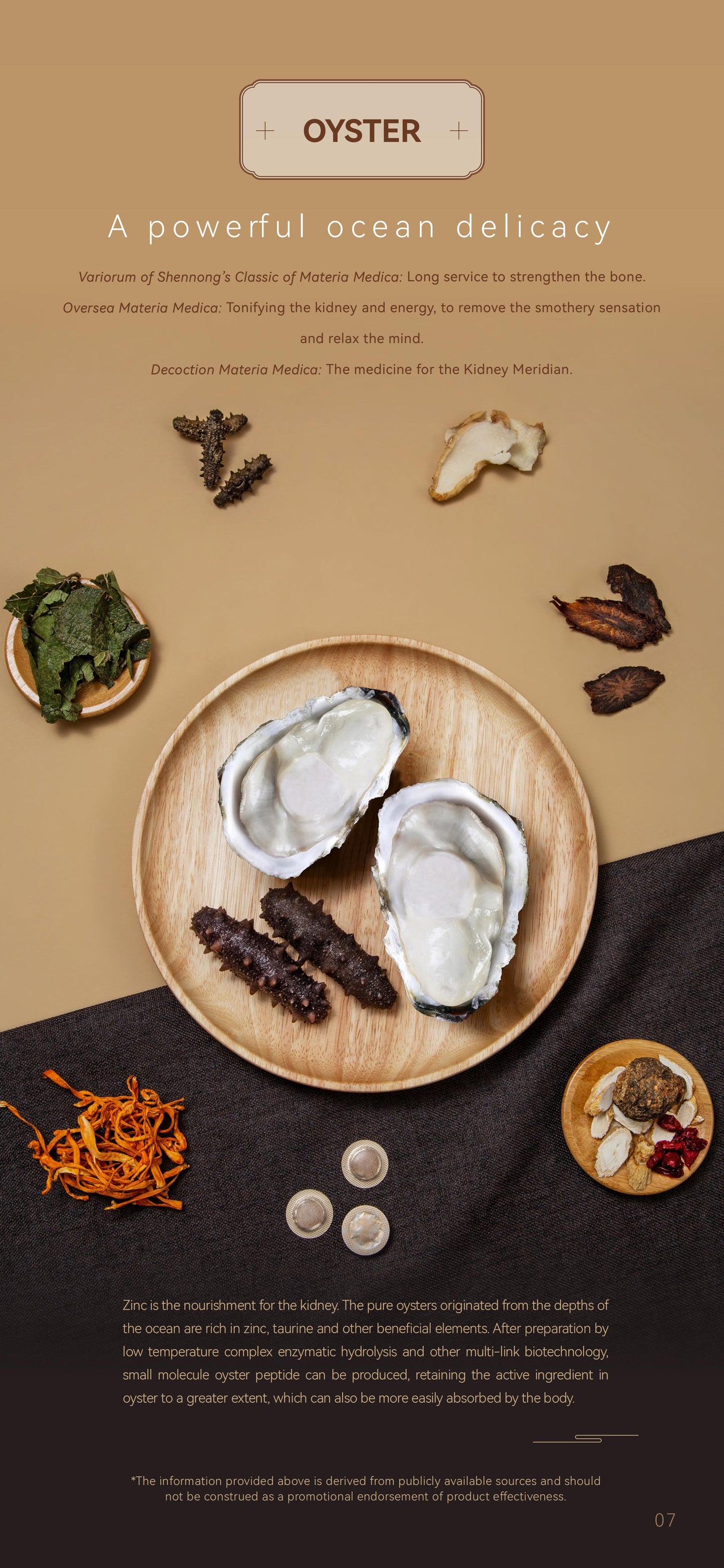 Oyster Peptide Vitality Tablet