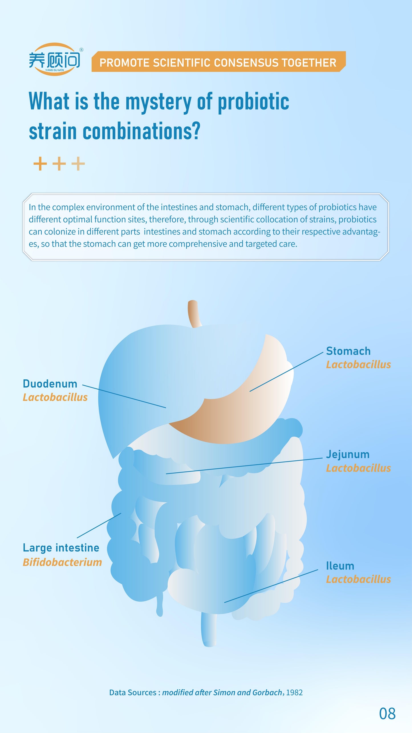 Probiotics Solid Beverage Associated R&D with IFF