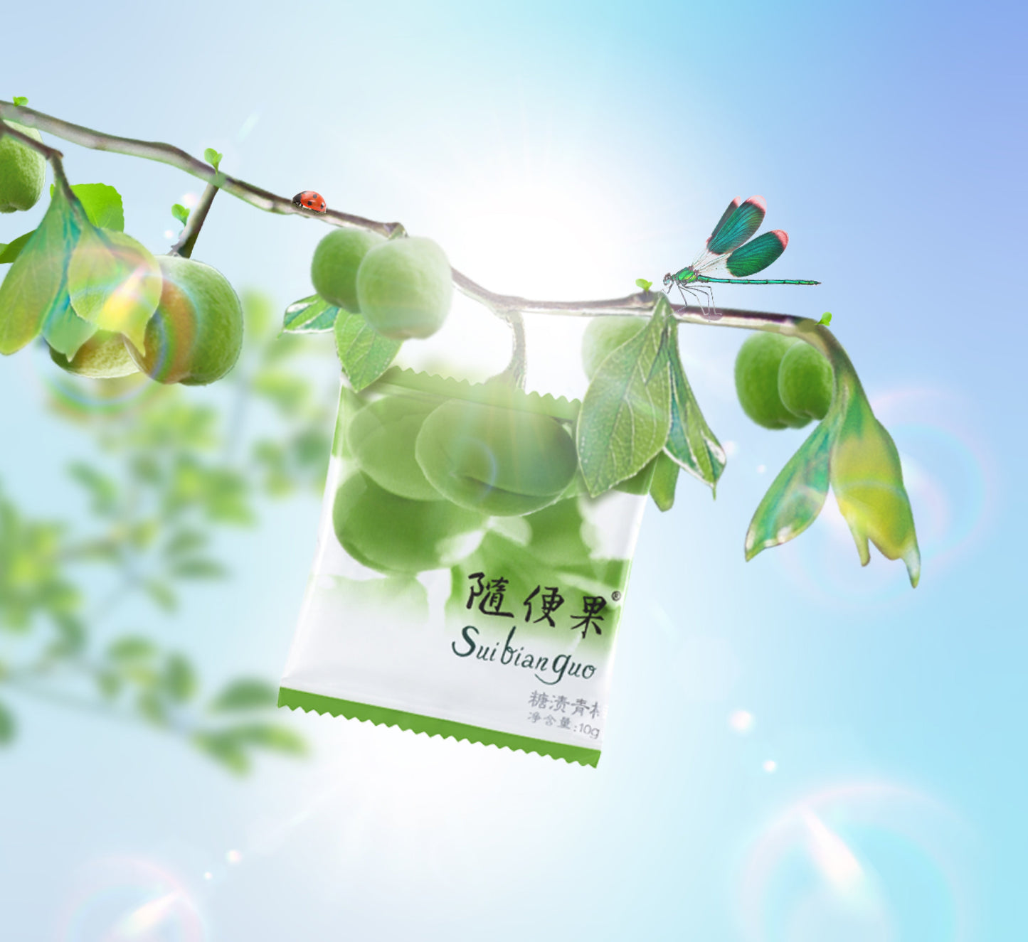 Suibianguo Candied Green Plum Global Version